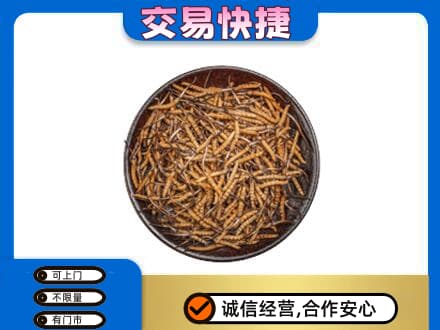 通化集安市高价回收散虫草